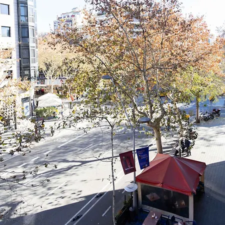 - Eixample 1a Barcelona
